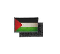 Patch Ecusson Imprime Badge Vintage Drapeau Palestine Palestinien