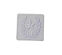 Patch Ecusson Thermocollant Etoile Lauriers Coloris Blanc 3 x 3 cm