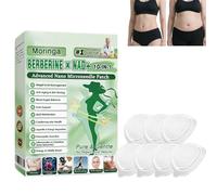 Patch Minceur Micro-Aiguilles Moringa 10-en-1 avec Berbérine, Patchs Amincissants Nano pour Maigrir Rapidement, Action Ciblée pour Hommes et Femmes, Slimming Patches (A-7Patchs)