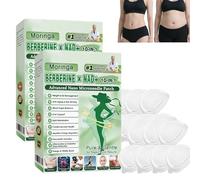Patch Minceur Micro-Aiguilles Moringa 10-en-1 avec Berbérine, Patchs Amincissants Nano pour Maigrir Rapidement, Action Ciblée pour Hommes et Femmes, Slimming Patches (A-14Patchs)
