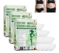 Patch Minceur Micro-Aiguilles Moringa 10-en-1 avec Berbérine, Patchs Amincissants Nano pour Maigrir Rapidement, Action Ciblée pour Hommes et Femmes, Slimming Patches (A-21Patchs)