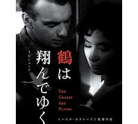 Patch Thermocollant, Écusson Brodé Patch, pour la réparation ou le bricolage de T-shirts, jeans, vêtementsA, 1pcs grand animal