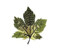 Patch Thermocollant Patchs brodés en forme de feuille d'érable, 3 pièces, transferts de chaleur, for T-shirts, vêtements, couture, artisanat, Application de robe, bricolage(O801)