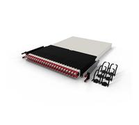 PATCHBOX Organisateur de câbles Patchbox ONE – 24x RJ45 Cat6A STP, 1,8 m, Rouge, 30U