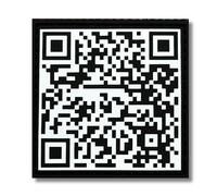 Patchs à dos militaire - Code QR Surprise - Applique PVC pour sac à dos tactique et gilet cross training - Accessoire patch avec relief