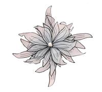 Patchs brodés pour réparations, Embroidered Flowers Appliques Patch for Dress DIY Decoration White Black 25cm 1pcs(Black)