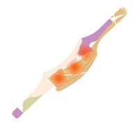 Patchs chauffants - Sûr et respirant pour soulager le cou | Patchs cervicaux et apaisants pour la famille, les amis, les adultes, les hommes et les femmes, à l'intérieur, en voyage, à la