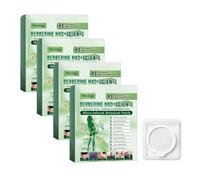 Patchs Corps 10 en 1 Berbérine NAD+ Moringa, Patches Minceur Berberine | Patch Nano Microneedle Minceur, Maigrir Et Raffermissement Cutané,Ingrédients Naturels,Pour Hommes Et Femmes,