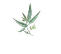 Patchs en tissu brodés de fleurs Patchs thermocollants en tissu à motifs de plantes vertes et fleurs, feuilles bambou, broderie florale repasser for vêtements robes(Color 4)