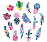 Patchs Stickers Vetement Thermocollant avec Tropical Elements Cactus Fruits Plumes Fleurs DIY pour Jeans Vêtements Sacs à Main Chaussures ou Casquettes pour Vestes Chaussures Sacs à dos 15 Pièces
