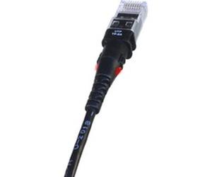 Patchsee Câble de raccordement TP-6A-U/8
