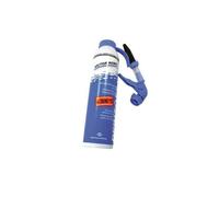 Reinz Produit de nettoyage Dichma – 200 ml