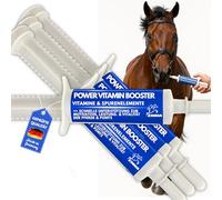 Pâte de vitamine pour chevaux I Booster d'énergie I Vitamines B I Complexe de vitamine B Cheval B12 Lysine Zinc Cheval I Minéraux I Renforcer le système immunitaire I Vitamine E Cheval Oldie Oldie