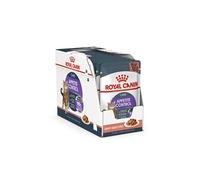 Royal Canin Appetite Control Care en Sauce | 12 x 85 g | Aliment Complet pour Chats Adultes | Recommandé pour contrôler Le comportement de mendicité