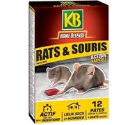 KB HOME DEFENSE RSOUPAT - Pâtes Anti-Rats et Souris 120 g - Action radicale et attractif - Actif dès la 1ère ingestion - Spécial lieux secs et humides - 15 sachets de pâtes de 10g - Fabriqué en France