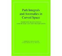 Path Integrals and Anomalies in Curved Space