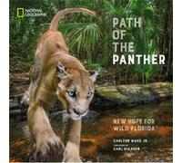 Path of the Panther: New Hope for Wild Florida