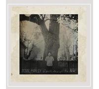 Path Through The Dark