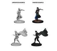 Pathfinder Roleplaying Game Unpainted Miniatures Elf Female Rogue