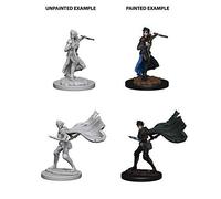 Pathfinder Roleplaying Game Unpainted Miniatures Elf Female Rogue