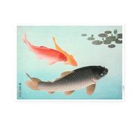 Pathos Studio Ohara Koson - Carpe commune et dorée (Giclée Art Print) 40,6 x 55,9 cm