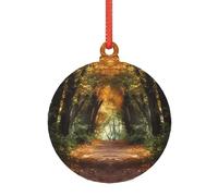 Pathway In The Woods Grande décoration en acrylique transparent avec sangle de suspension, décoration de vacances pour sapin de Noël, étiquette de décoration d'intérieur