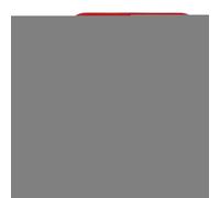 Patifirst Tapis en Silicone pour Air Fryer, Panier Réutilisable Pour Air Fryer Accessoire Cuisine, Accessoire Cuisson pour Rôtir Légumes Saucisses et Réchauffer Restes