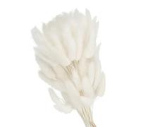 PATIKIL 120Pcs Queue de Lapin Naturelle Fleurs Séchées 40cm Blanc | Mini Herbe de Pampa Lagurus Bouquet, pour Décoration Florale Mariage Noël