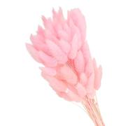 PATIKIL 120Pcs Queue de Lapin Naturelle Fleurs Séchées 40cm Rose | Mini Herbe de Pampa Lagurus Bouquet, pour Décoration Florale Mariage Noël