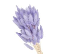 PATIKIL 120Pcs Queue de Lapin Naturelle Fleurs Séchées 40cm Violet | Mini Herbe de Pampa Lagurus Bouquet, pour Décoration Florale Mariage Noël