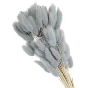 PATIKIL 15,7 Pouces Bunny Tails Fleurs Séchées, 120pcs Herbe de la Pampa ornementation Queue de Lapin Herbe de la Pampa Naturel en Vrac Fluffy Faux Herbe de la Pampa Séché , Bleu