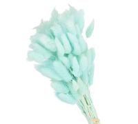 PATIKIL 15,7 Pouces Bunny Tails Fleurs Séchées, 80pcs Herbe de la Pampa ornementation Queue de Lapin Herbe de la Pampa Naturel en Vrac Fluffy Faux Herbe de la Pampa Séché , Bleu Clair