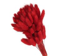 PATIKIL 15.7in Queue De Lapin Fleurs Séchées, 150pcs Queue De Lapin Naturel Duveteux Faux Séché pour Décoration Boho À La Maison Vase Mariage, Rouge