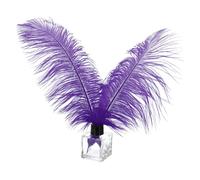 PATIKIL 30 Pcs Plumes d'Autruche Naturelles en Vrac 10-12 Pouces / 25-30 cm Grandes Plumes d'Autruche pour l'Artisanat Décoration de la Maison Mariage Fête Décoration de Vase (Violet)