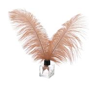 PATIKIL 30 Pcs Plumes d'Autruche Naturelles en Vrac 12-14 Pouces / 30-35 cm Grandes Plumes d'Autruche pour l'Artisanat Décoration de la Maison Mariage Fête Décoration de Vase (Marron)