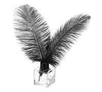 PATIKIL 30 Pcs Plumes d'Autruche Naturelles en Vrac 8-10 Pouces / 20-25 cm Grandes Plumes d'Autruche pour l'Artisanat Décoration de la Maison Mariage Fête Décoration de Vase (Noir)