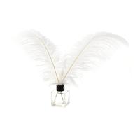 PATIKIL 30 Plumes Naturelles D'Autruche en Gros 14-16 Pouces / 35-40 cm Grandes Plumes D'Autruche pour Artisanat décoration Maison Mariage Fête décoration De Vase (Blanc)