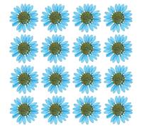 PATIKIL 48 Pcs Fleurs Séchées Pressées Naturelles Marguerite pour l'Artisanat DIY Décoration Maison Décoration Ongles, Bleu Saphir