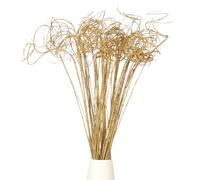 PATIKIL Brindille bouclée pailletée, 60 pièces Branches Saule Naturel séché, Pics d'arbre Noël tiges Ornements pour Maison Cuisine Mariage Bricolage Couronne vases décoration Cadeau, doré