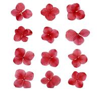 PATIKIL Fleur Pressée Séchée, 48 Pcs pour Résine Loisirs Créatifs Art des Ongles Cartes Scrapbooking Fabrication de Bijoux Décoration Florale Décoration Bougie, Rouge