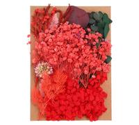 PATIKIL Fleurs Séchées Naturelles, Multiples Fleurs Pressées Séchées Colorées pour Artisanat, Résine, Savon, Scrapbooking, Série Rouge
