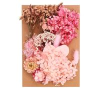 PATIKIL Fleurs Séchées Naturelles, Multiples Fleurs Pressées Séchées Réelles Colorées pour l'Artisanat, la Résine, Le Savon, Le Scrapbooking, Couleurs