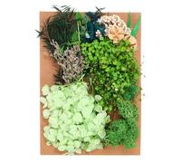 PATIKIL Fleurs Séchées Naturelles, Multiples Fleurs Pressées Séchées Réelles Colorées pour l'Artisanat, la Résine, Le Savon, Le Scrapbooking, Série Verte