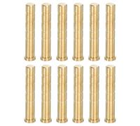 PATIKIL Insert en Laiton pour flèche d'archerie de 100 Grains, 12 Packs de vis d'insert en cuivre Laiton pour flèches en Carbone de 6,2 mm / 0,244 Pouce