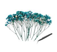 PATIKIL Kit Mini Fleurs Gypsophile Séchées, 30Pcs Bouquets Fleurs Pressées Naturelles Bleues 4 Pouces avec Pince À Épiler DIY Résine Artisanat Fleurs