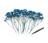 PATIKIL Kit Mini Fleurs Gypsophile Séchées, 30Pcs Bouquets Naturels Pressés Bleu Foncé 4 Pouces avec Pince À Épiler DIY Résine Artisanat Fleurs