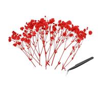 PATIKIL Kit Mini Fleurs Séchées Gypsophile, 30Pcs Bouquets Fleurs Pressées Naturelles Rouges 4 Pouces avec Pince À Épiler DIY Résine Artisanat Fleurs