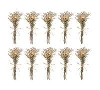 PATIKIL Mini Bouquet Fleurs Séchées, 10 Pcs Rose Naturelle Fleur avec Tige Décoration Gypsophile Boho Plante Florale pour Loisirs Créatifs DIY Accessoires Cadeau Mariage, Crème