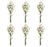 PATIKIL Mini Bouquet Fleurs Séchées, 6 Pcs Myosotis Naturel avec Tige Décoration Gypsophile Boho Plante Fleurie pour Loisirs Créatifs DIY Accessoires Photo Cadeau Décoration Mariage, Blanc