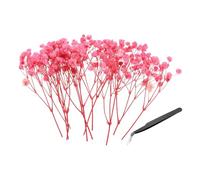 PATIKIL Mini Kit De Fleurs De Gypsophile Séchées, 30Pcs 4 inch Rose Clair Naturel Pressé Bouquets Floraux avec Pince pour DIY Résine Artisanat Cadeau Mariage Noël Carte ornementation